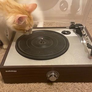 Audiology Record Player